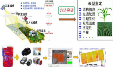 無人機遙感作物育種